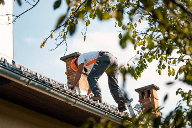 Best Storm Damage Roof Repair  in Nroe City, MO