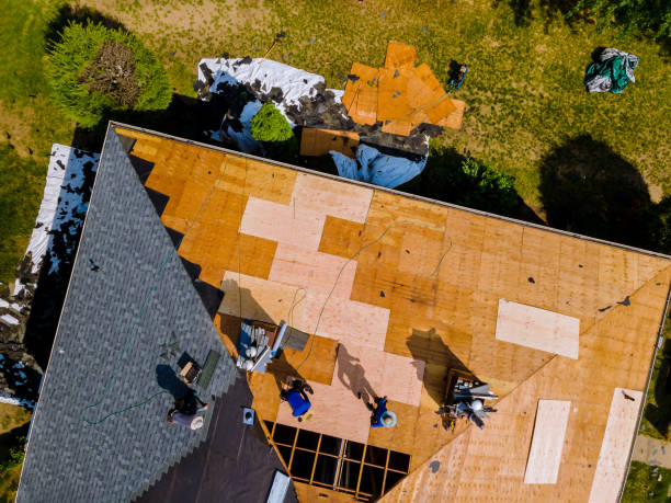 Best Roof Repair Services  in Nroe City, MO