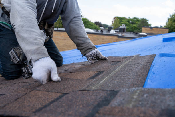 Best Metal Roofing Contractor  in Nroe City, MO