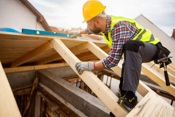 Best Roof Gutter Cleaning  in Nroe City, MO