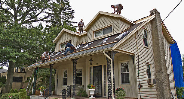 Best Commercial Roofing Services  in Nroe City, MO